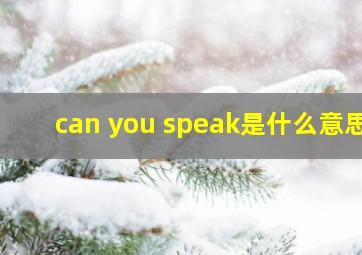 can you speak是什么意思